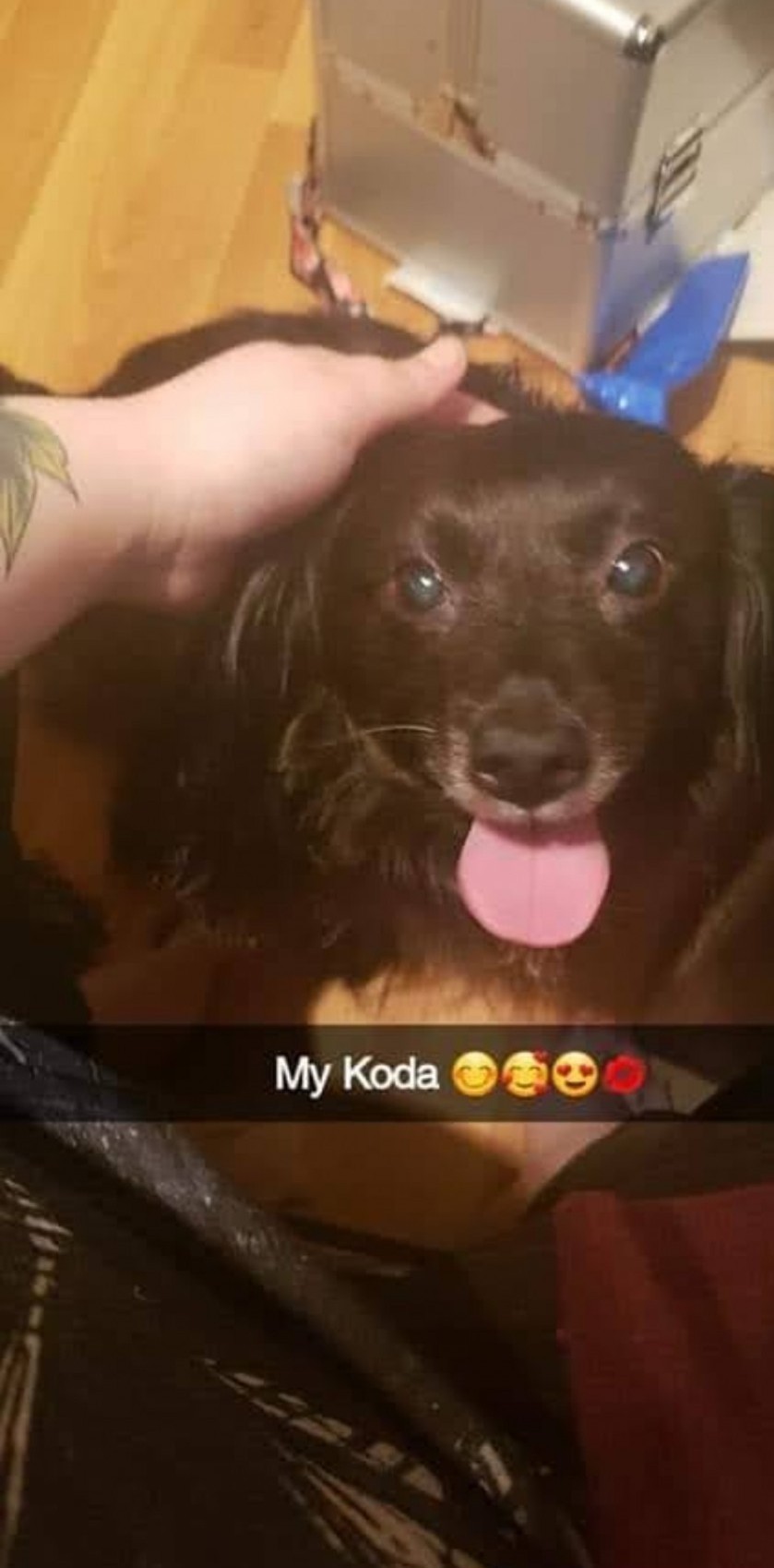 Koda