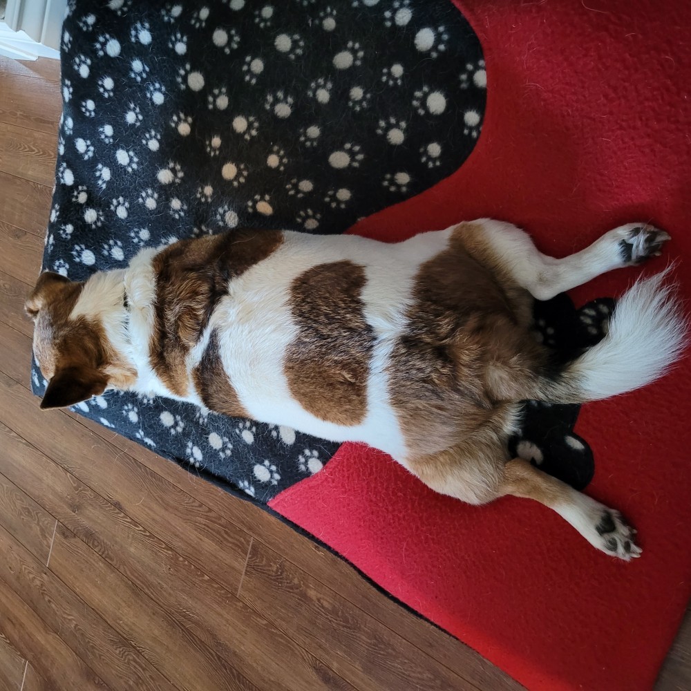 Buster