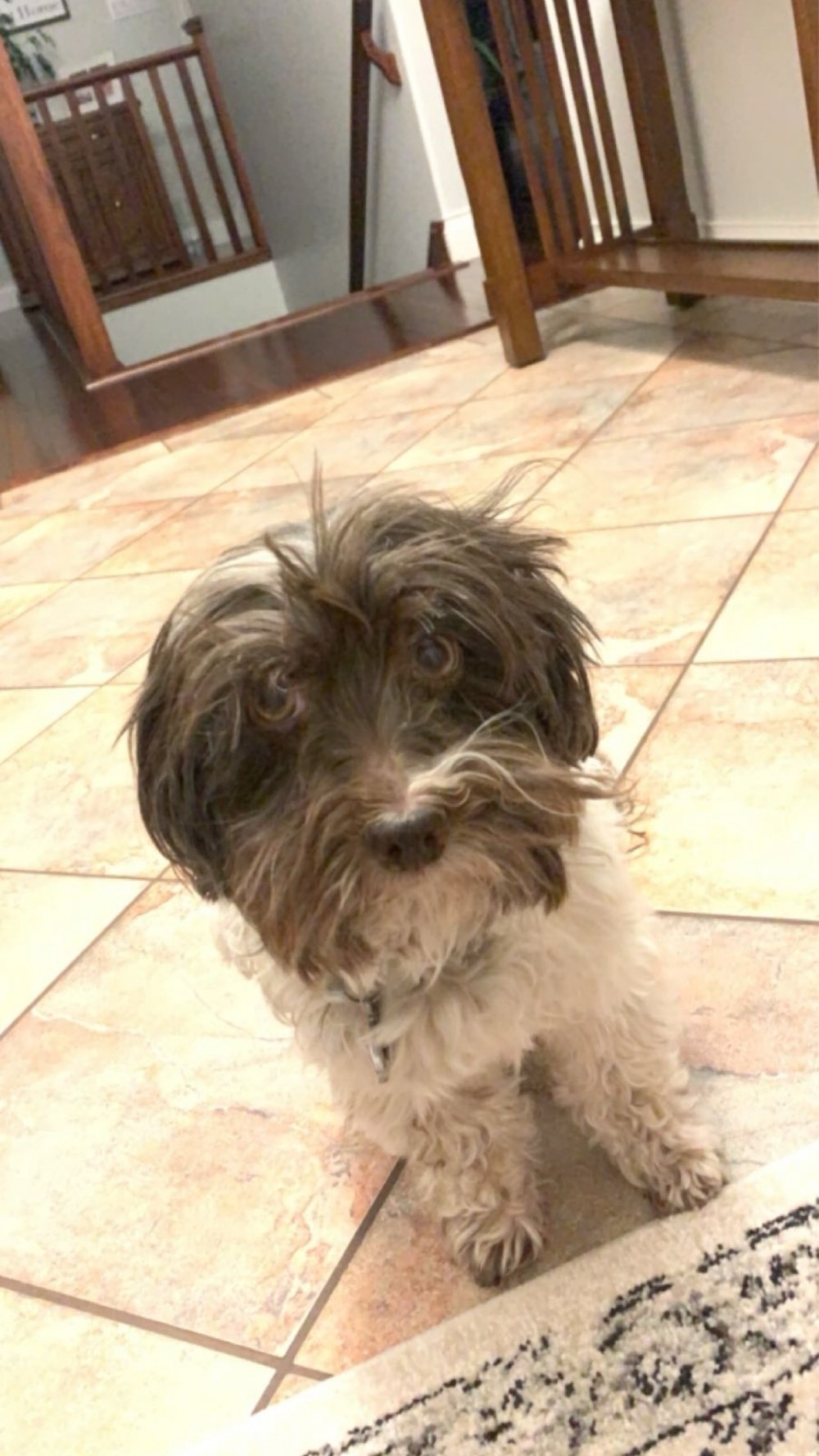 Wilson