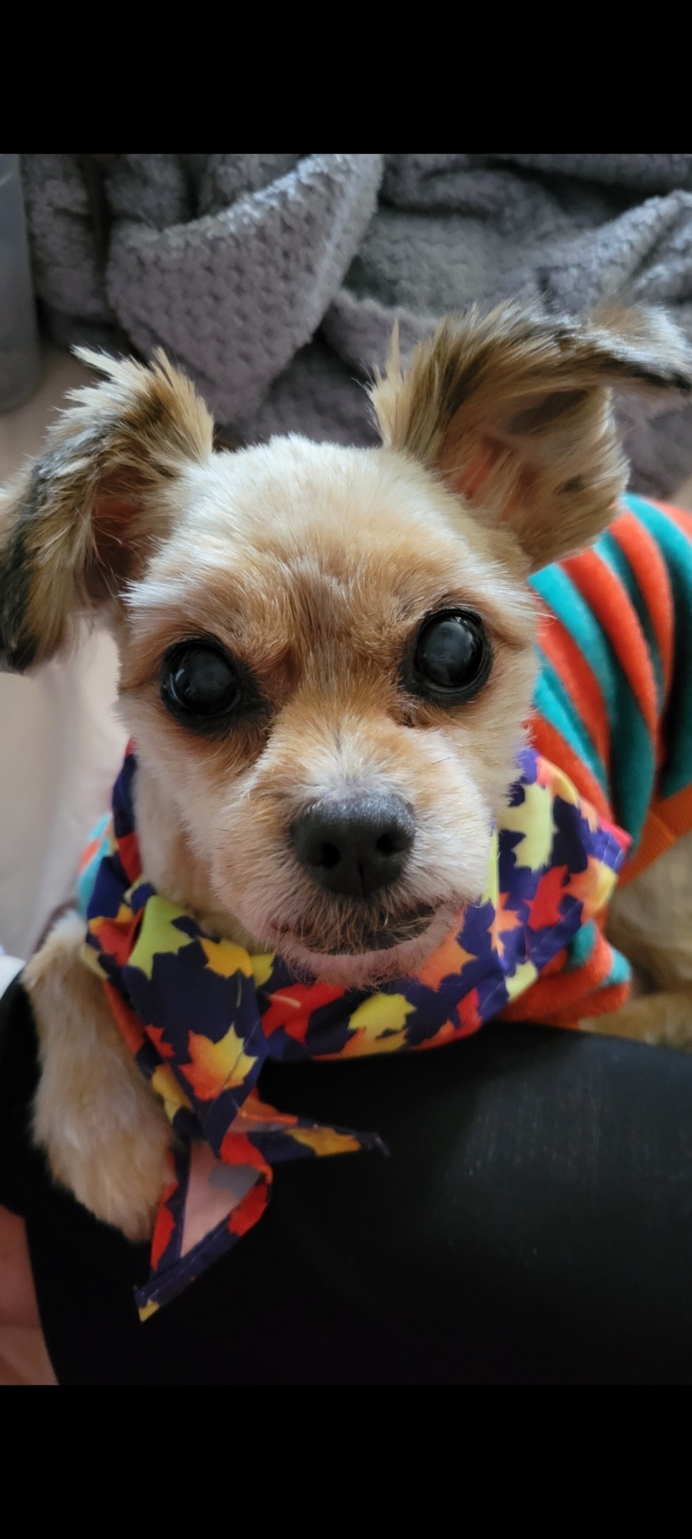 Zoey
