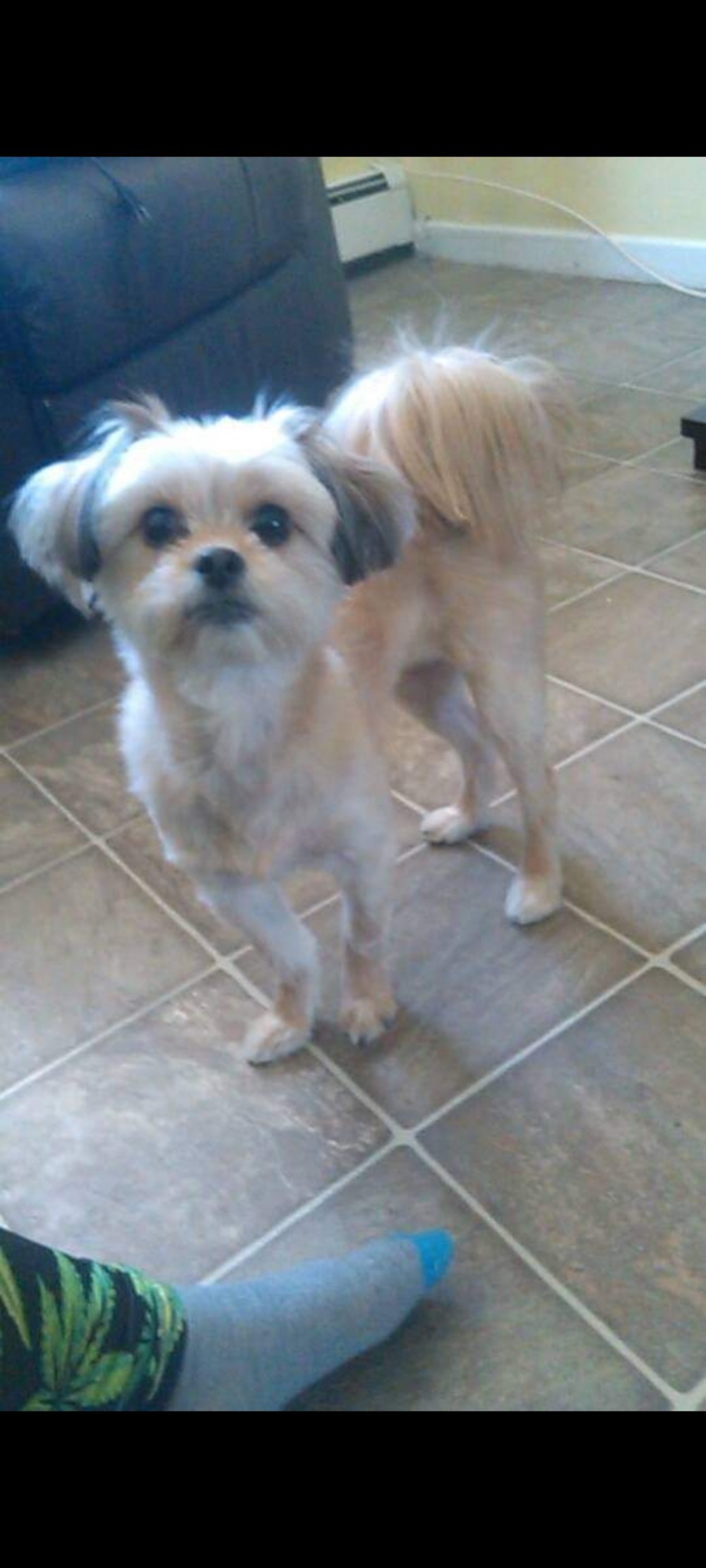 Zoey