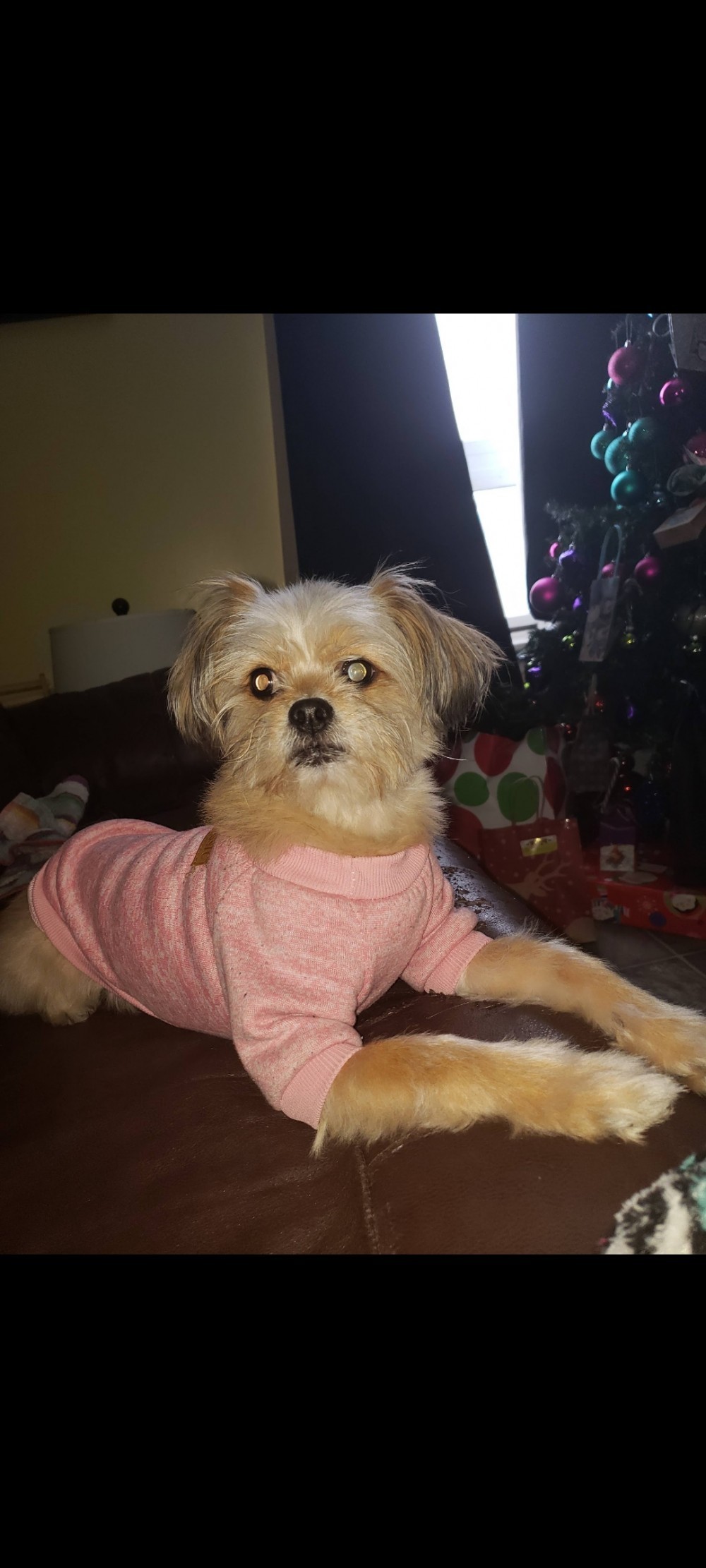 Zoey