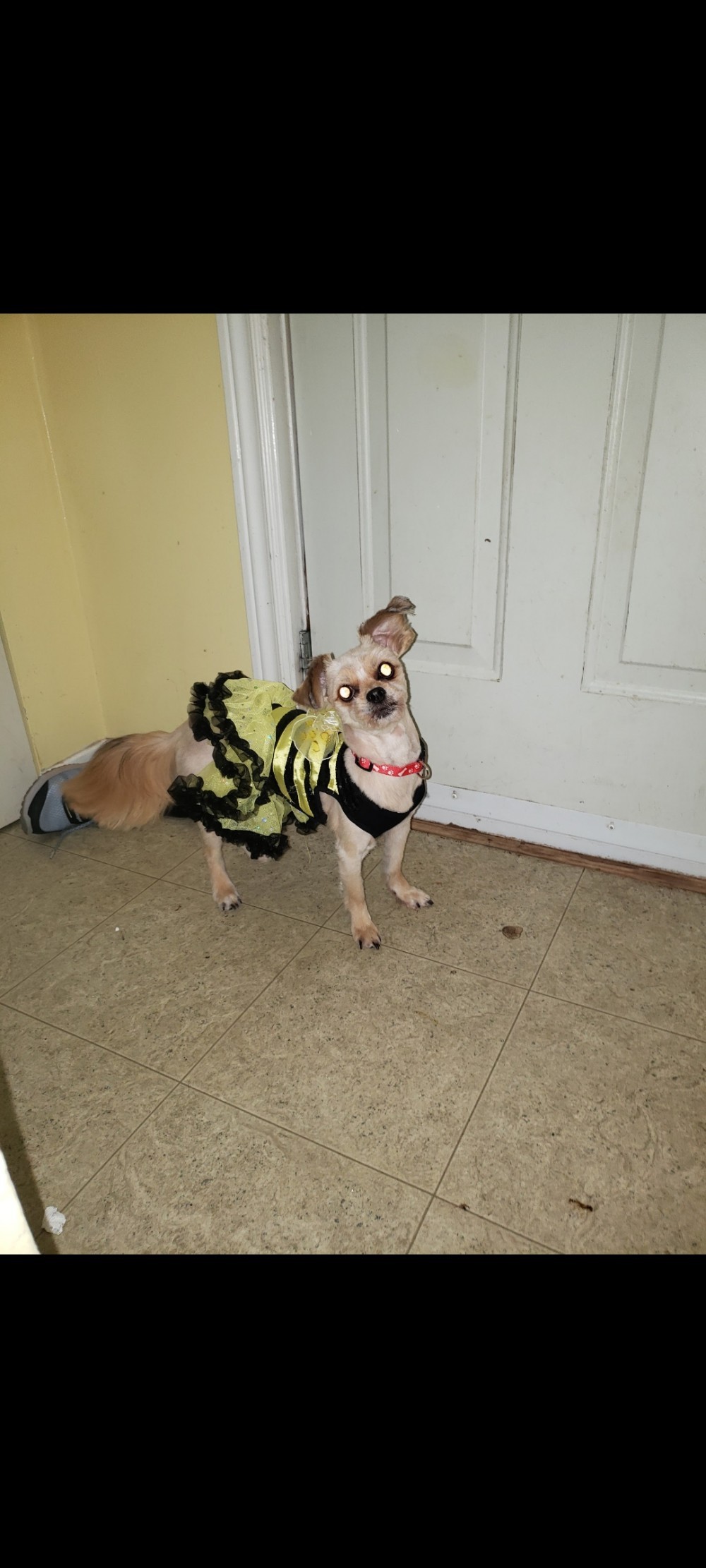 Zoey