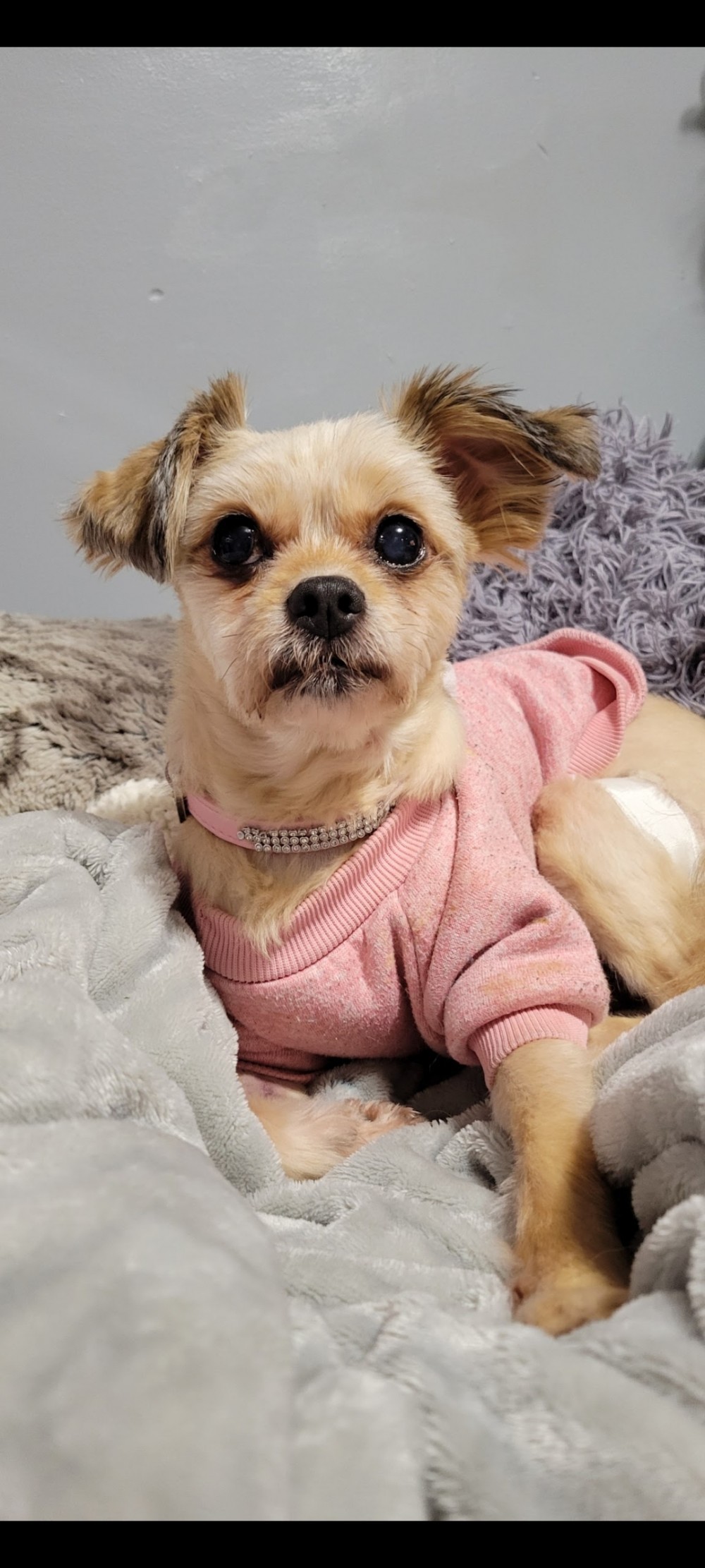 Zoey