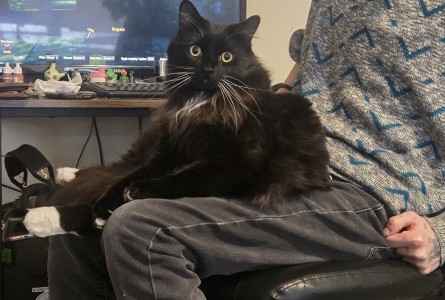 Nandor the Relentless