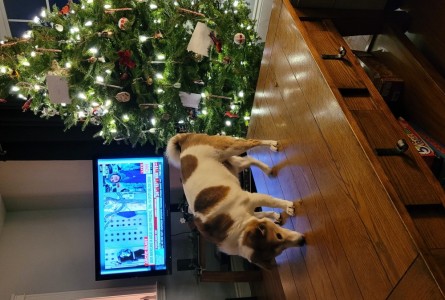 Buster