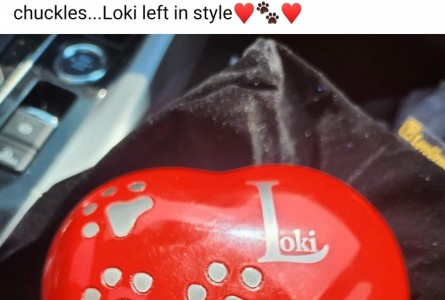 Loki