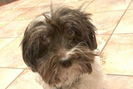 Wilson