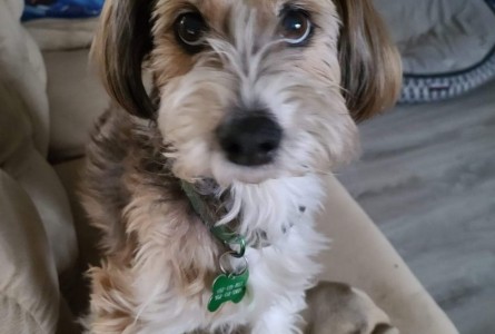 Jax