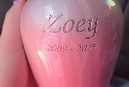Zoey