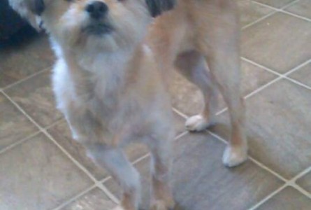 Zoey