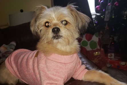 Zoey