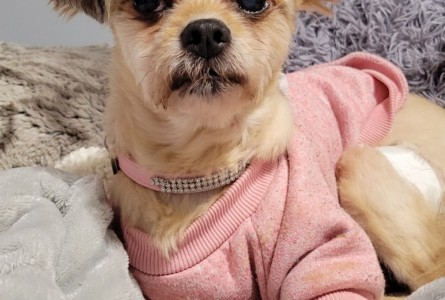 Zoey